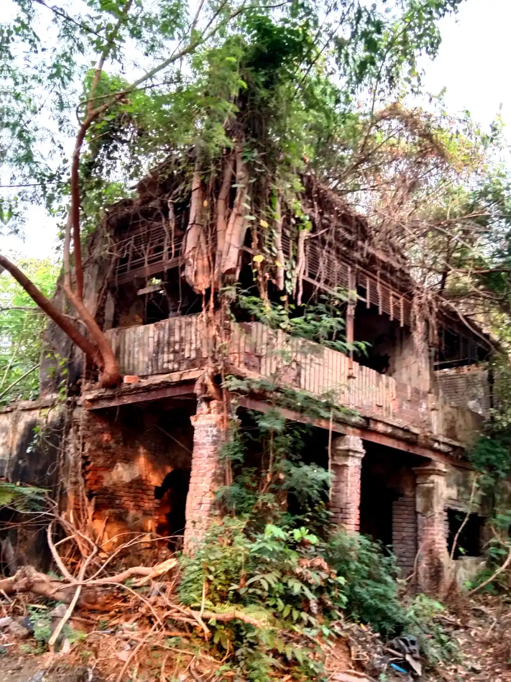 Heritage Building