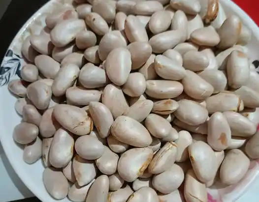 jack fruit