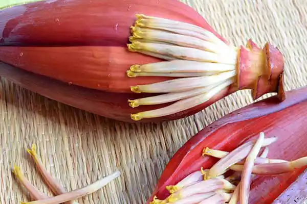 Bengali Recipe