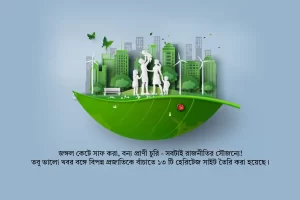 environment as a political issue