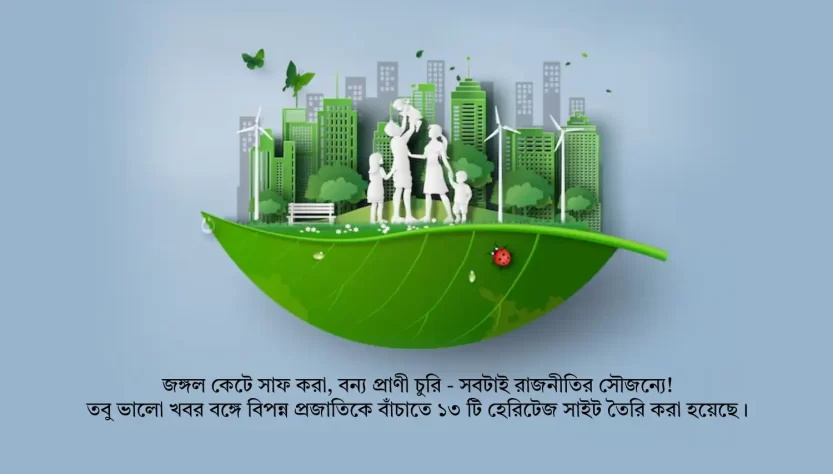 environment as a political issue