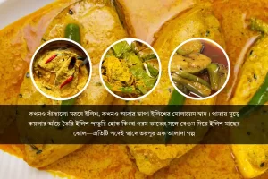 ilish fish recipe