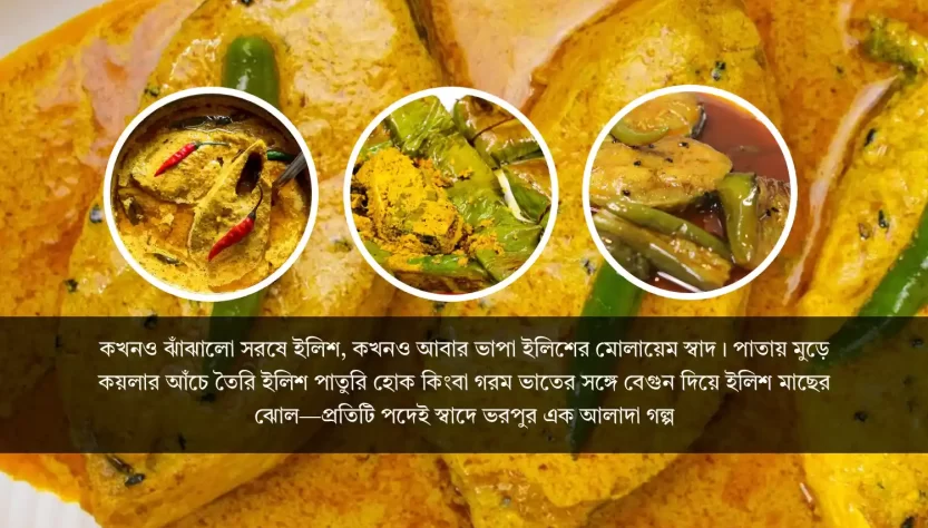 ilish fish recipe