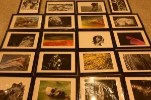 lens-vs-canvas-art