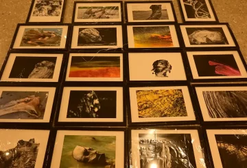 lens-vs-canvas-art