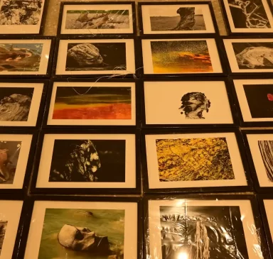lens-vs-canvas-art