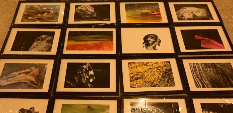 lens-vs-canvas-art