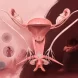 Menstruation
