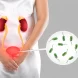 chronic-urinary-tract-infection-in-women